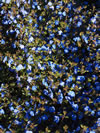 VERONICA prostrata 'Oxford Blue'